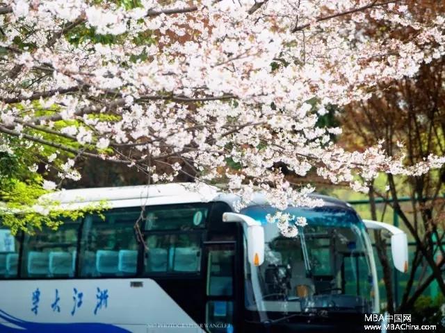 艾祯祯：不负青春，不负过往—我经历的MBA联考