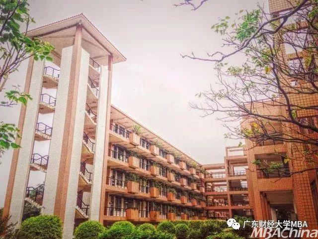 广东财经大学佛山校区mba招生特辑