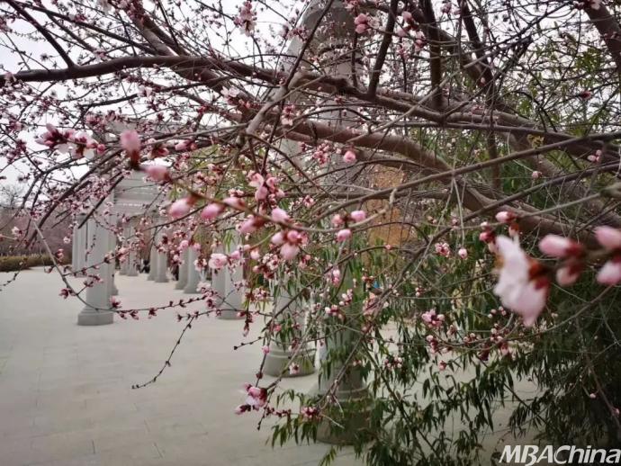 满园姹紫嫣红,芳香沁人