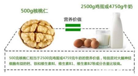 养元六个核桃2020年GDP_真材实料品质为先 六个核桃 植物蛋白饮料行业的 iPhone 7(3)